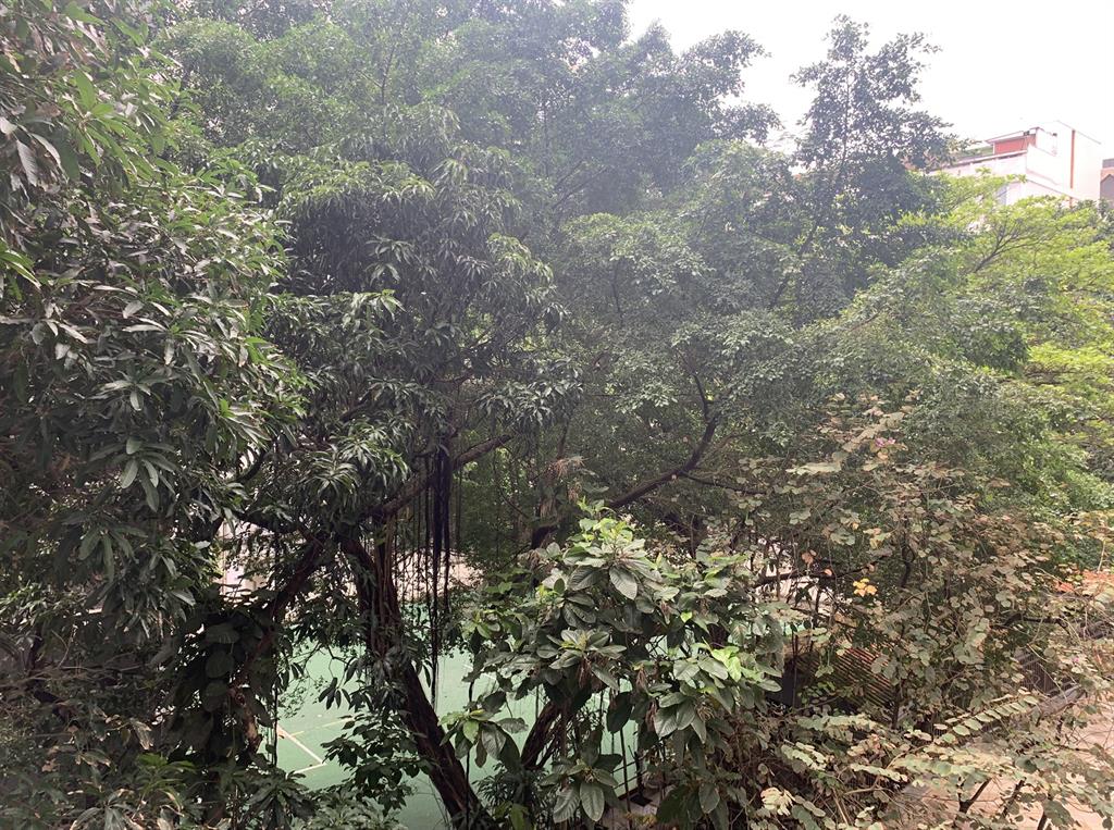 Imagem do Empreendimento