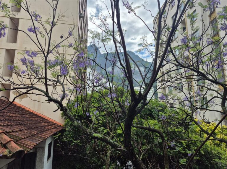 Imagem do Empreendimento